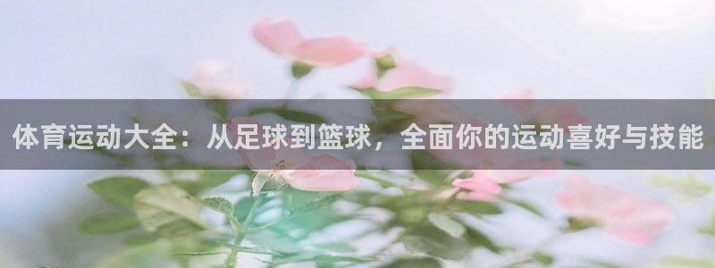 熊猫体育官网