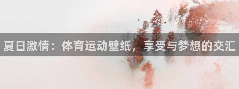 熊猫体育官网