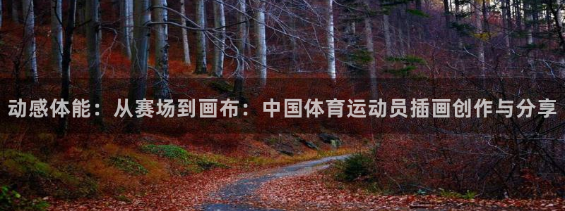 熊猫体育公园价格