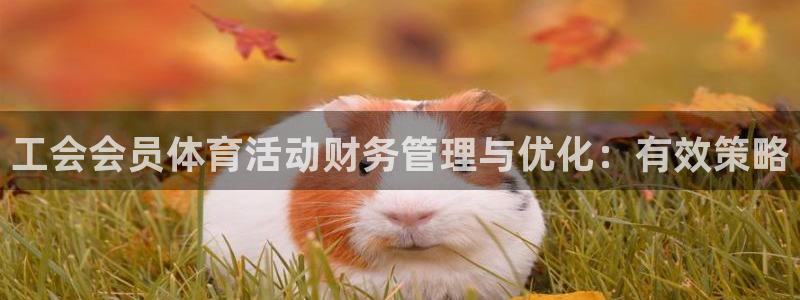 熊猫体育在线观看