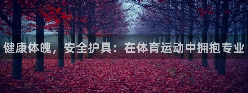 中山熊猫体育