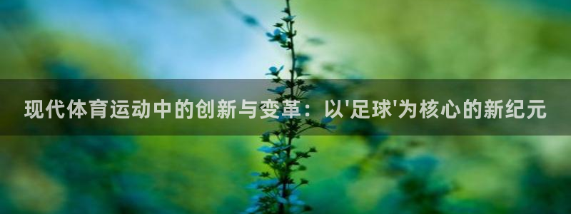 熊猫体育直播